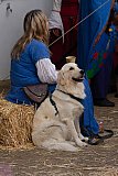 Butschebuerger Buergfest 2026